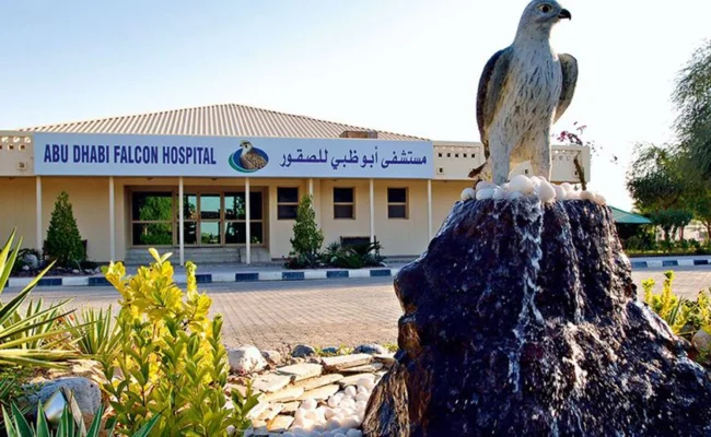 Falcon Hospital