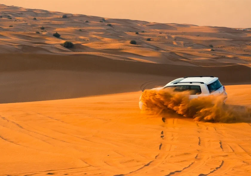 Desert Safari