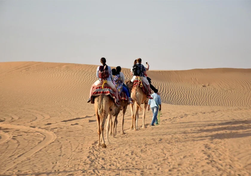Camel Ride